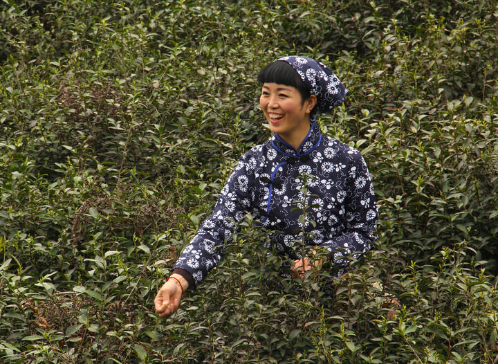 私密直播间